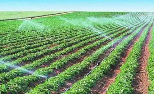 草逼wwW农田高 效节水灌溉
